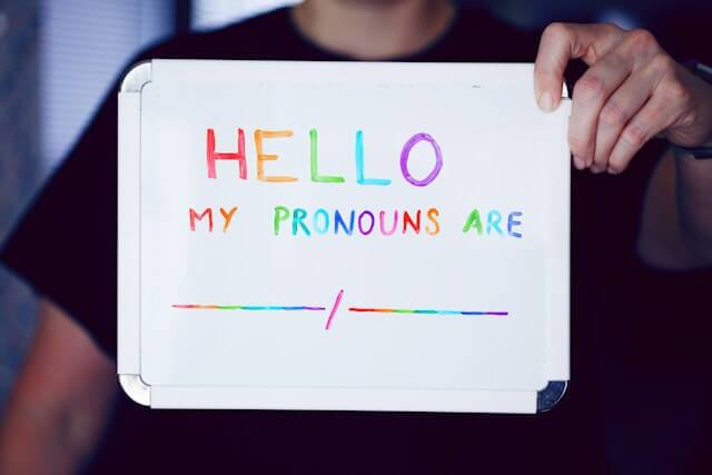 Gender and Sexuality webinar for professionals